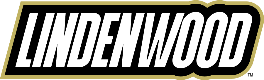 Lindenwood Lions 2010-2018 Wordmark Logo diy DTF decal sticker